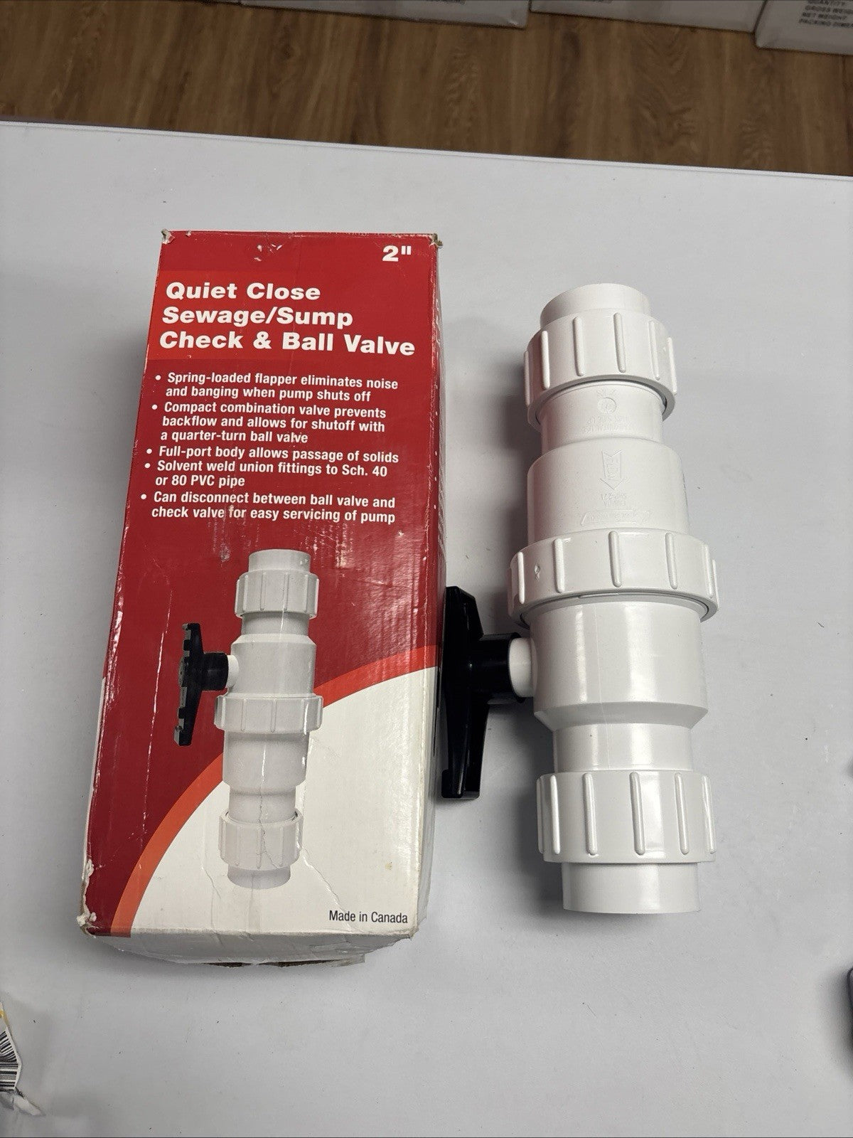 1 NEW Water Source   2 Inch SWING CHECK AND BALL VALVE